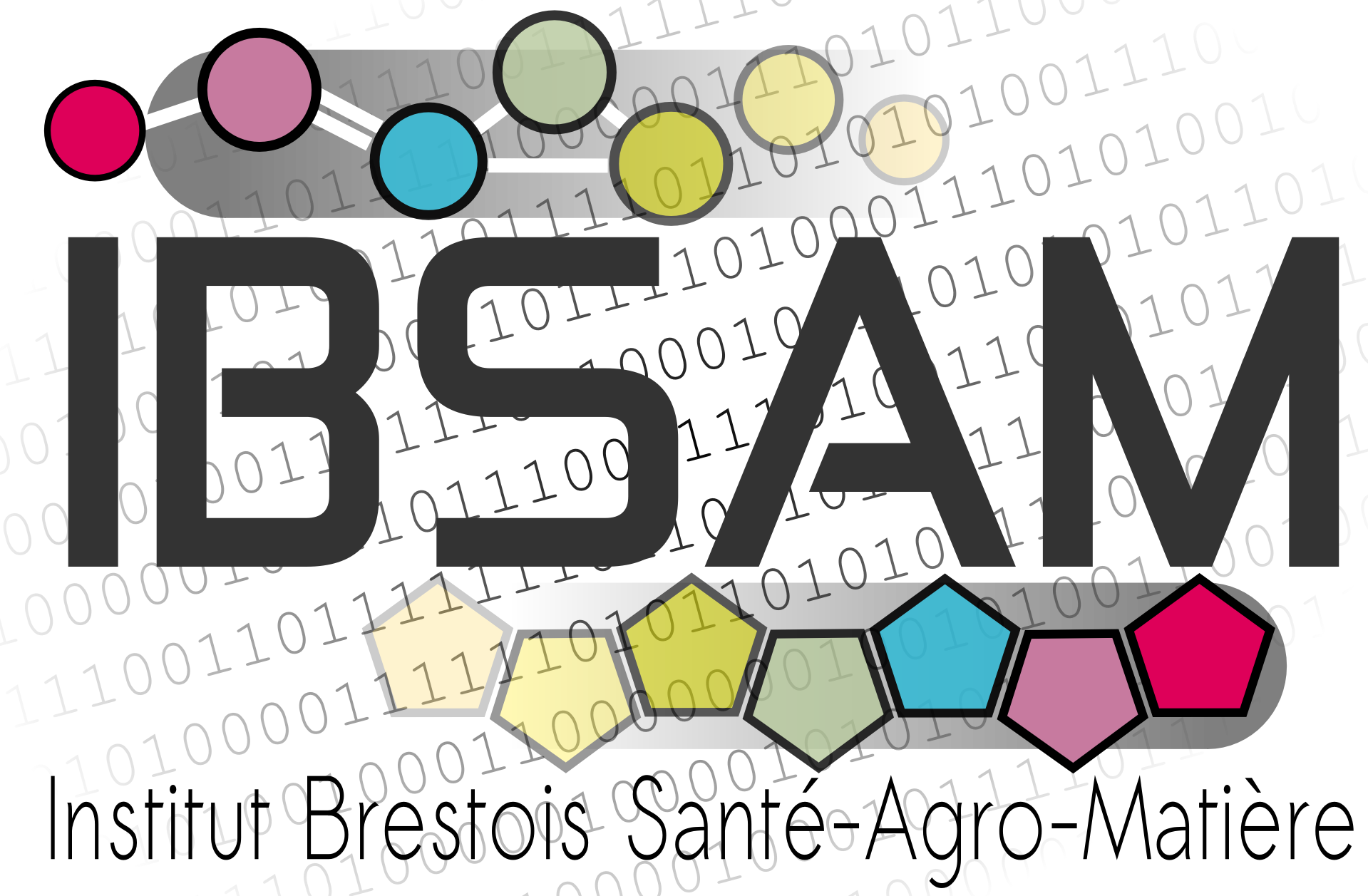 IBSAM